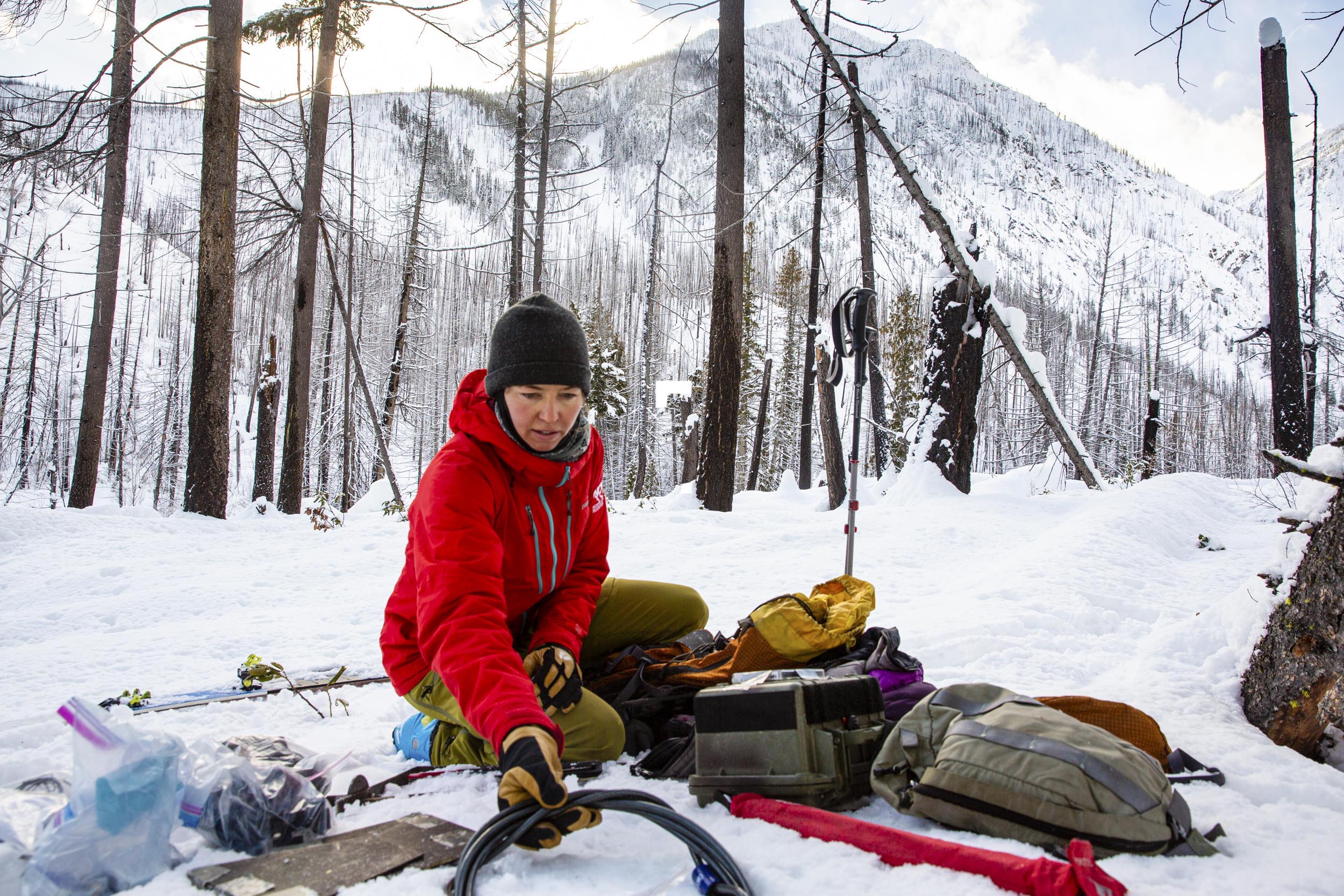 A field biologist organizes equipment in the snow